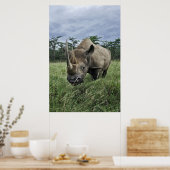 Black Rhinoceros | Kenia Poster (Keuken)