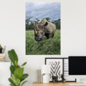 Black Rhinoceros | Kenia Poster (Thuiskantoor)