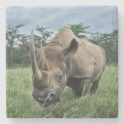 Black Rhinoceros | Kenia Stenen Onderzetter (Voorkant)