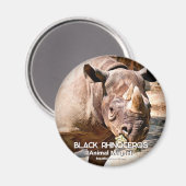 Black Rhinoceros Magneet (Voorkant / Achterkant)