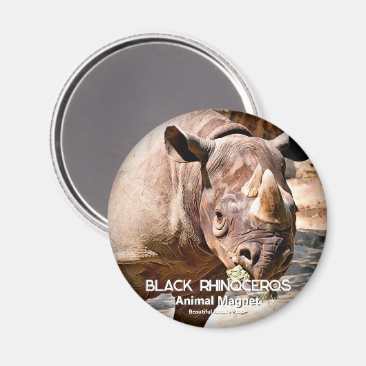 Black Rhinoceros Magneet (Voorkant / Achterkant)
