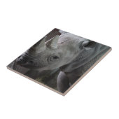 Black Rhinoceros Photo Tegeltje (Zijkant)