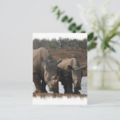 Black Rhinos Briefkaart (Staand voorkant)