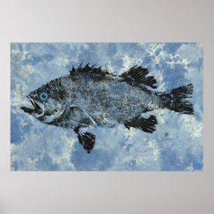Black Rockfish On Blue - 36 x 24-inch Poster