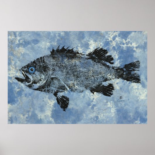 Black Rockfish On Blue - 36 x 24-inch Poster (Voorkant)