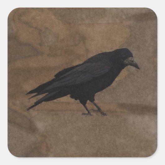 Black Rook British Corvid en Rustic Background Vierkante Sticker (Voorkant)