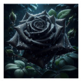 Black Roos Floral Perfect Poster (Voorkant)