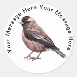 Black Rosy Finch Ronde Sticker