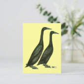 Black Runner Ducks Briefkaart (Staand voorkant)