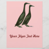 Black Runner Ducks Flyer (Voorkant)