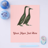 Black Runner Ducks Flyer (Enkel)