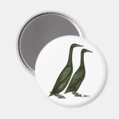 Black Runner Ducks Magneet (Voorkant / Achterkant)