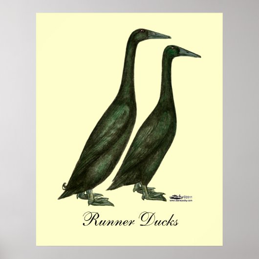 Black Runner Ducks Poster (Voorkant)