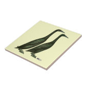 Black Runner Ducks Tegeltje (Zijkant)