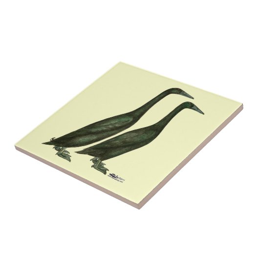 Black Runner Ducks Tegeltje (Zijkant)