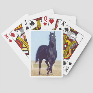 Black Running Horse-speelkaarten Speelkaarten