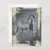 Black Running Stallion Briefkaart (Voorkant / Achterkant)