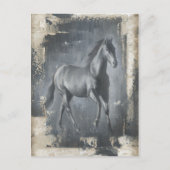 Black Running Stallion Briefkaart (Voorkant)