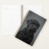 Black Russian Terrier Planner (Display)