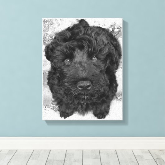 Black Russian Terrier Puppy Canvas Afdruk (Insitu (Houten vloer))