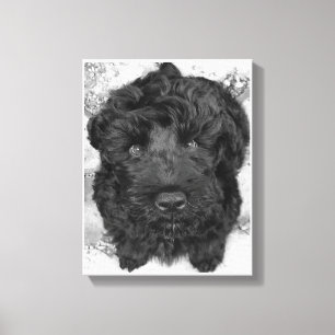 Black Russian Terrier Puppy Canvas Afdruk