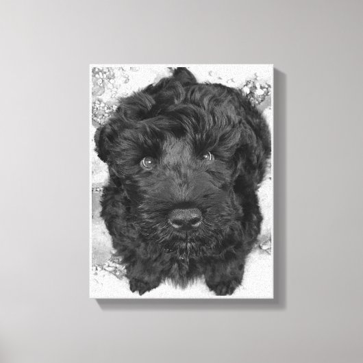 Black Russian Terrier Puppy Canvas Afdruk (Voorkant)