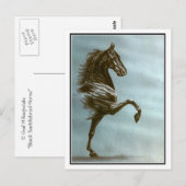 Black Saddlebred Horse Briefkaart (Voorkant / Achterkant)