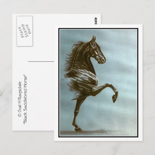 Black Saddlebred Horse Briefkaart (Voorkant / Achterkant)