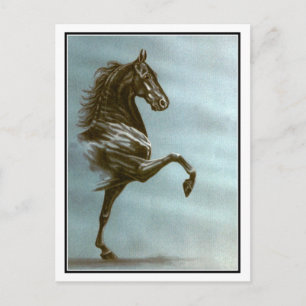 Black Saddlebred Horse Briefkaart