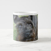 Black Schnauzer Grote Koffiekop (Voorkant)