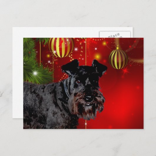 Black Schnauzer Kerstmis Feestdagenkaart (Voorkant / Achterkant)