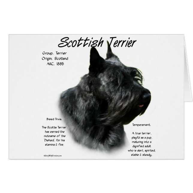 Black Scotty Geschiedenis (Voorkant Horizontaal)