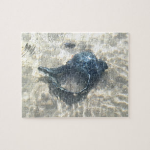 Black Seashell Legpuzzel