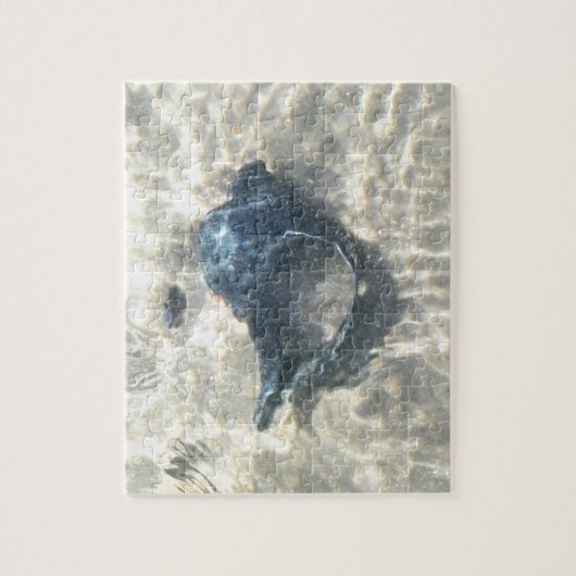 Black Seashell Legpuzzel (Verticaal)