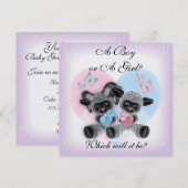 Black Sheep Baby Gender Reveal Party Kaart (Voorkant / Achterkant)