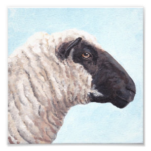 Black Sheep Face II Fotoafdrukken Foto Afdruk