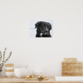 Black Shepherd Dog in the Snow Poster (Keuken)