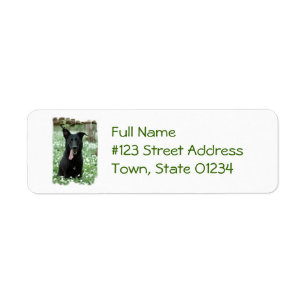 Black Shepherd Mailing Labels