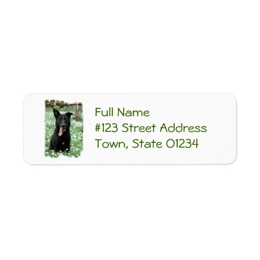 Black Shepherd Mailing Labels (Voorkant)