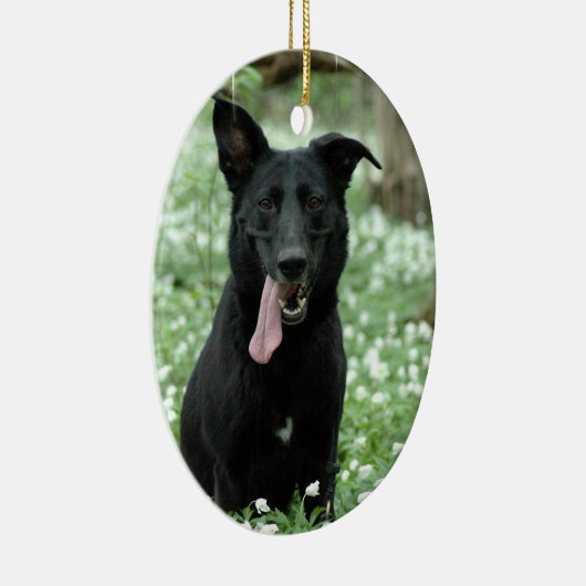 Black Shepherd Ornament (Rechts)