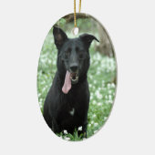 Black Shepherd Ornament (Links)