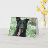 Black Shepherd Wenskaart Kaart (Gele Bloem)
