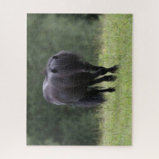 Black Shetland Pony Stallion Walking Legpuzzel (Verticaal)