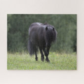 Black Shetland Pony Stallion Walking Legpuzzel (Horizontaal)
