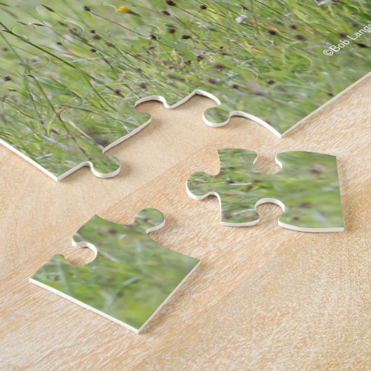 Black Shetland Pony Stallion Walking Legpuzzel (Zijkant)