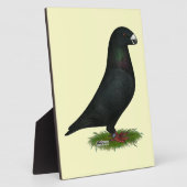 Black Show Racer Fotoplaat (Zijkant)