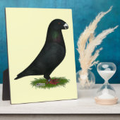 Black Show Racer Fotoplaat (Zijkant)