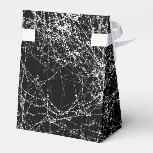 Black & Silvery Spider Webs Chic Halloween Party Bedankdoosjes (Achterkant)