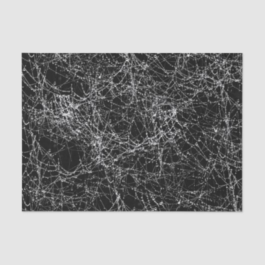 Black & Silvery Spider Webs Chic Halloween Party Tissuepapier (Voorkant)