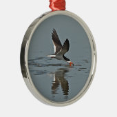 Black Skimmer Photo Metalen Ornament (Rechts)